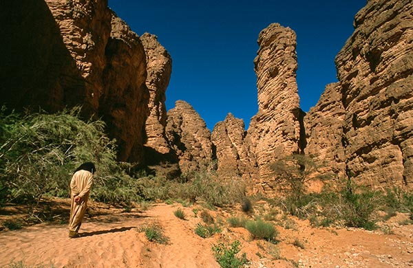 Essendilene-guelta-sahara-desert-zeriba