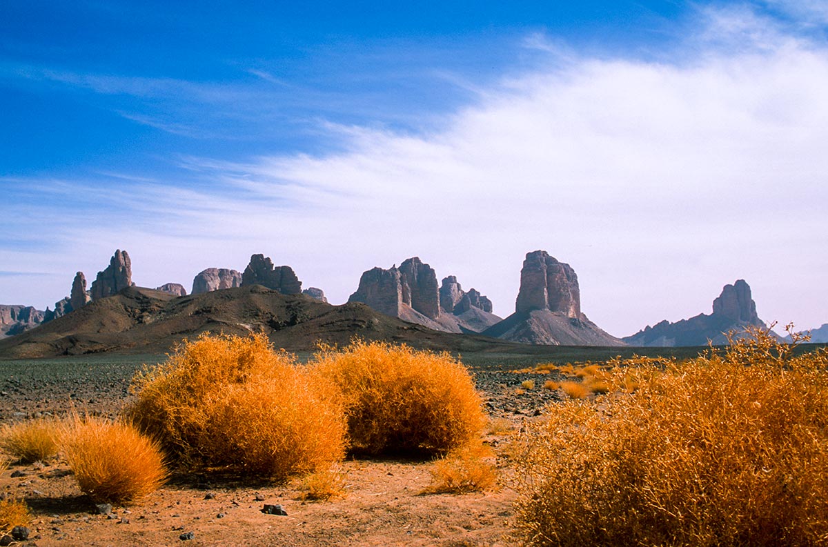 Afara-desert-Sahara-zeriba-voyage