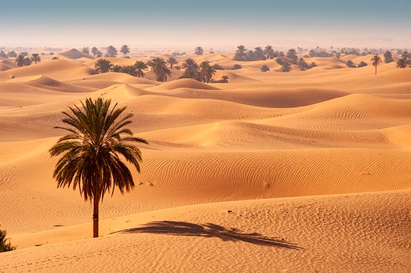 Grand-Erg-Occidental-Desert-Sahara-Zeriba_Voyage