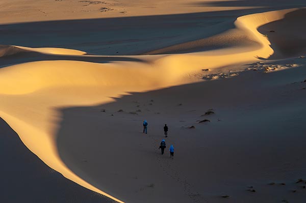 Sahara-dunes-desert-zeriba-voyage