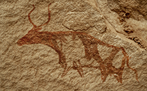 peintures et gravures rupestres - Circuit Sahara Zeriba Voyage